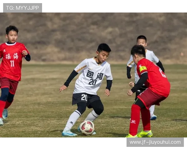 南海俱乐部足球发展历程与区域青少年培养体系建设研究 南海俱乐部足球发展历程与区域青少年培养体系建设研究